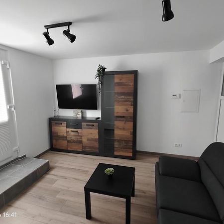 Ferienwohnung Wildgans 2 Dollart Ostfriesland Ditzumerverlaat Extérieur photo